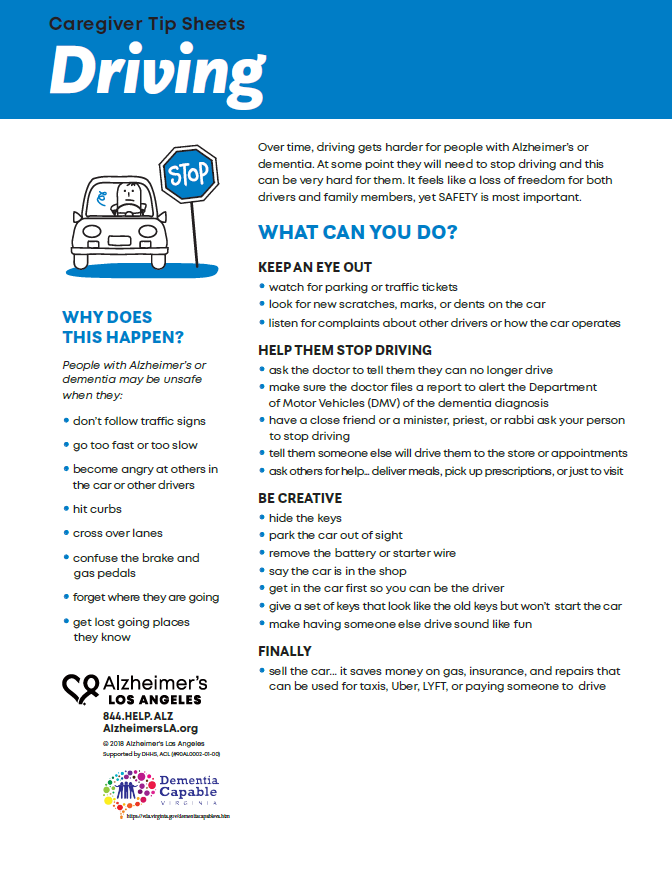 factsheet screenshot: Driving