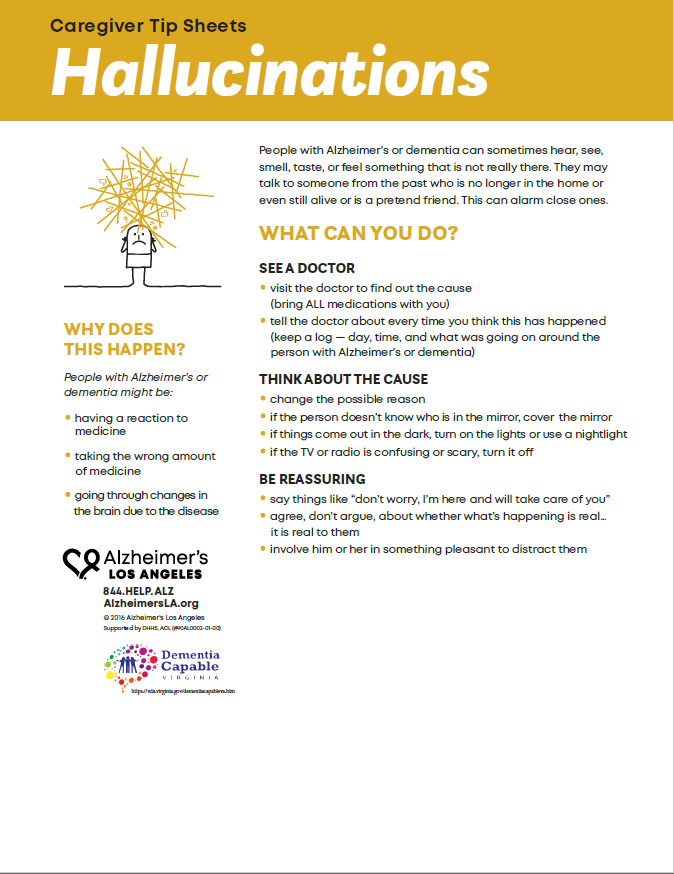 factsheet screenshot: Hallucinations