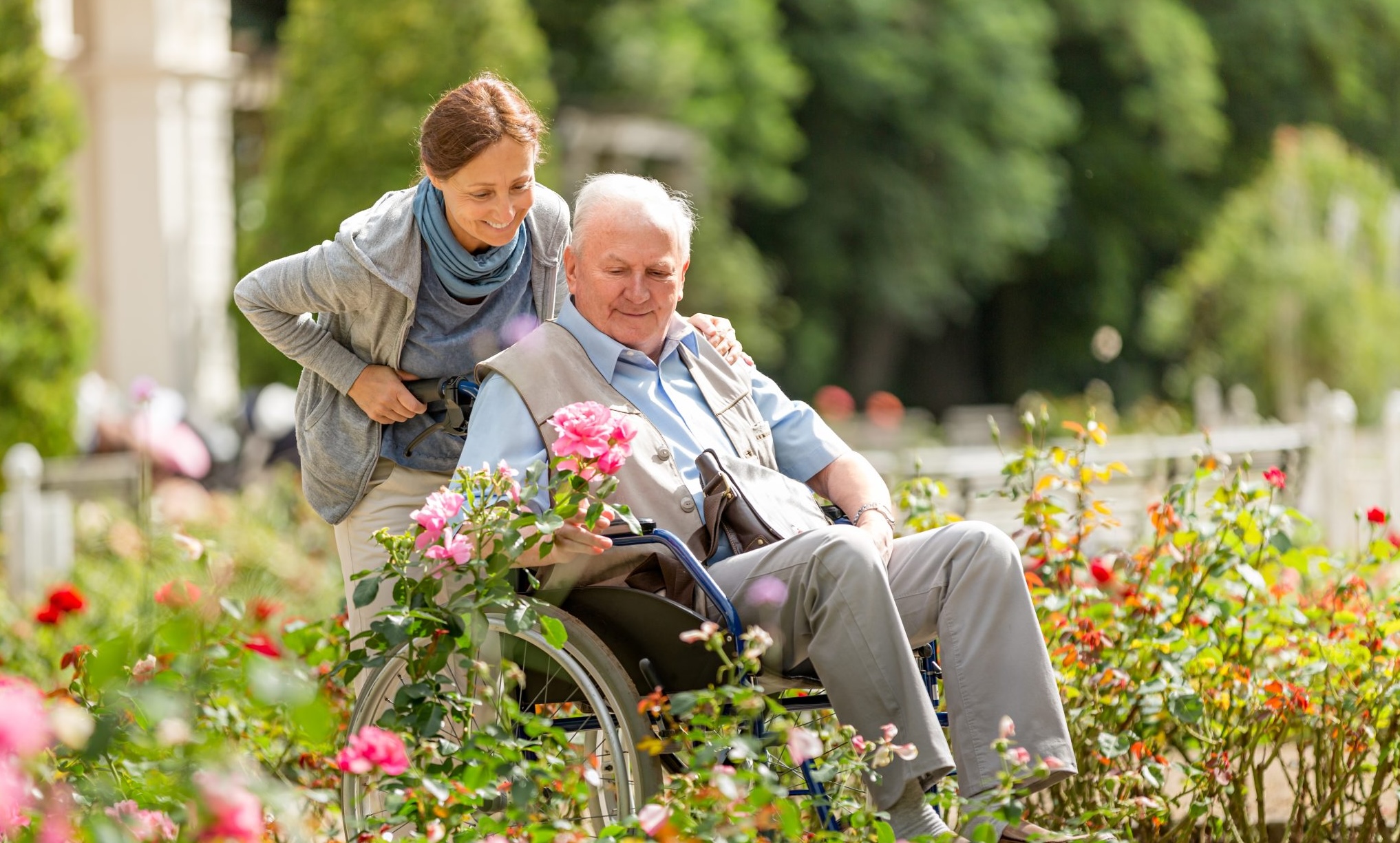 Woman pushes an older man in a wheelchair through flower gardens