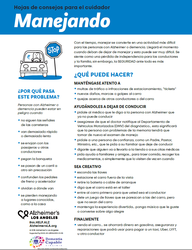 factsheet screenshot: Driving