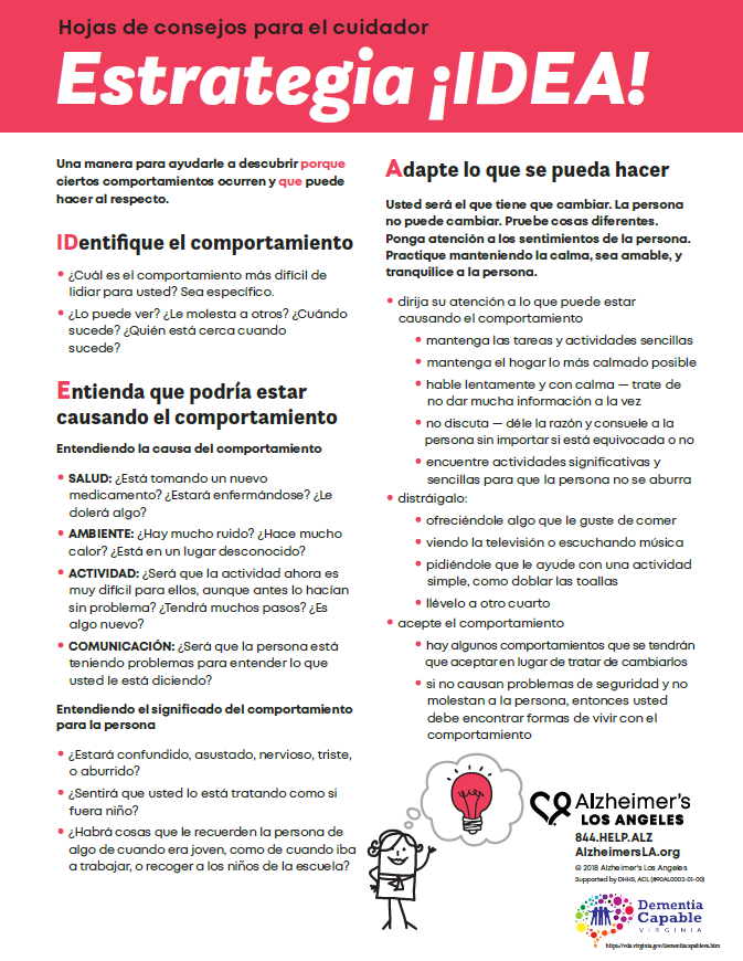 factsheet screenshot: IDEA! Strategy